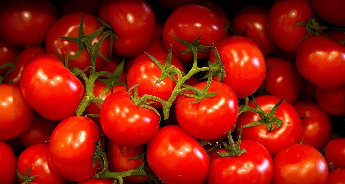 Türk ihracatçılar şikayetçi: İdlib gerginliği Rusya’ya domates sevkiyatını vurdu