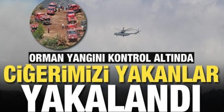Hatay’da ciğerimizi yaktılar! Valilik orman yangınını çıkartanların yakalandığını açıkladı