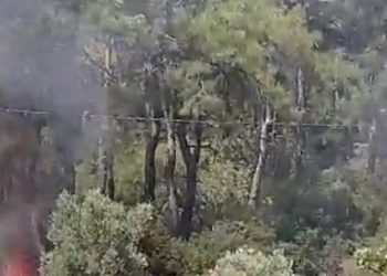 Muğla’daki orman yangının çıkış anında şüpheli bir araç kameraya yansıdı