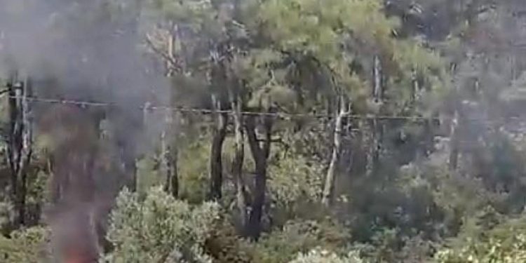 Muğla’daki orman yangının çıkış anında şüpheli bir araç kameraya yansıdı